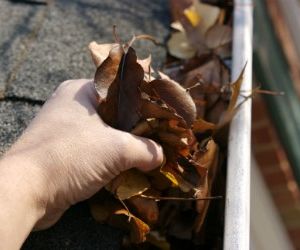 Gutter Before – Pest Control in Virginia