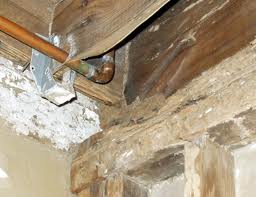 termite-damage-in-basement-header-board
