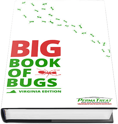 Big Book of Bugs – Pest Control in Barboursville, VA