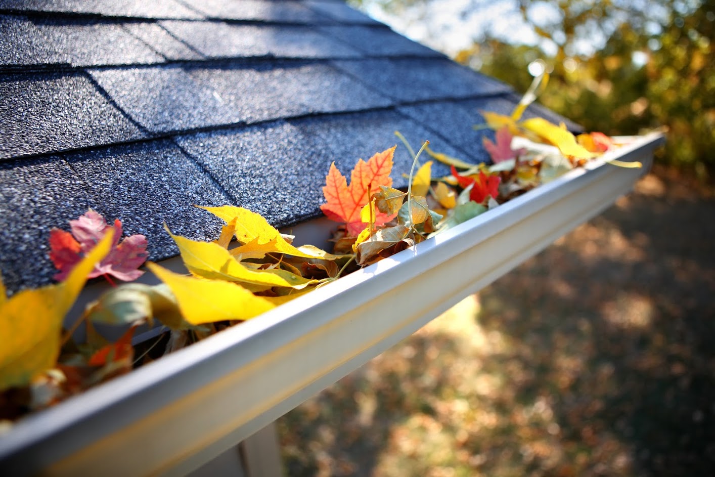 You Should Clean Your Gutters | PermaTreat Pest & Termite Control