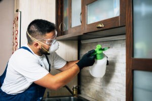 Man Spraying Pesticide — Barboursville, WV — PermaTreat Pest & Termite Control